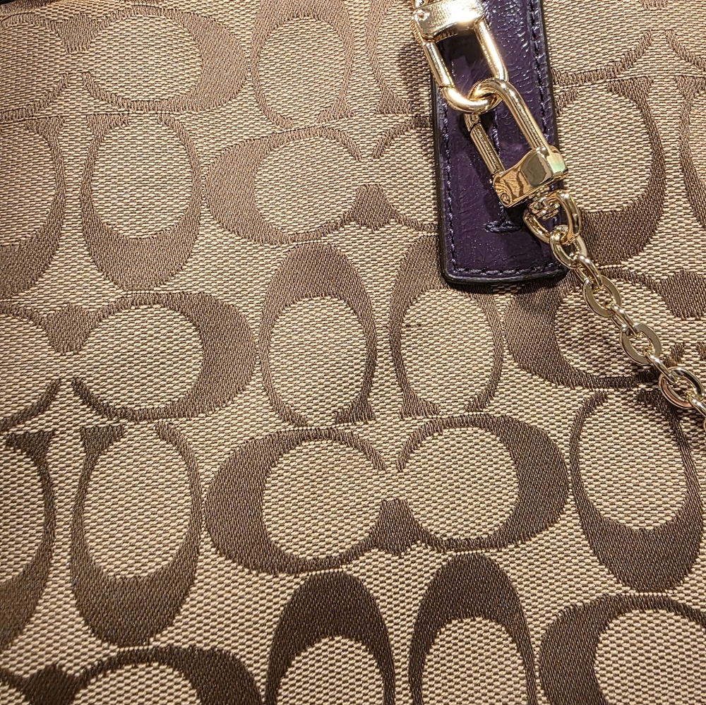 Coach Signature Python Print Carryall - image 4